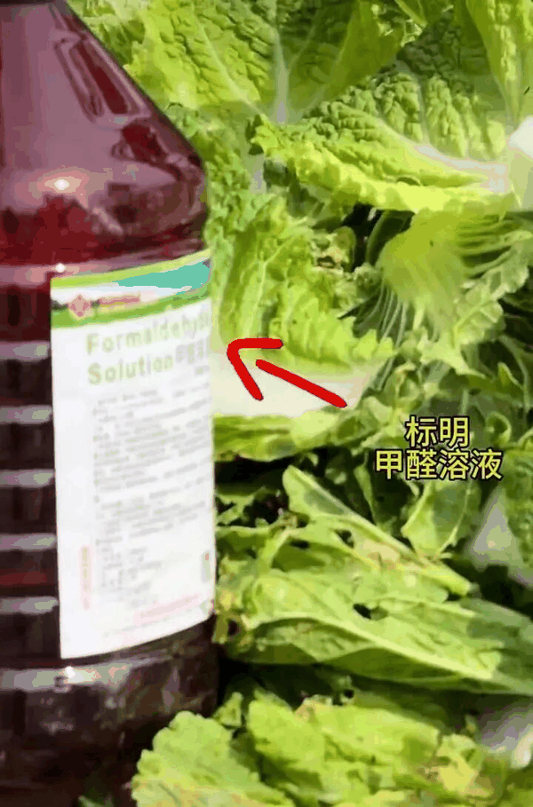 某博主视频中拍摄到装载白菜的货车上有标注“甲醛溶液”的瓶子。图片来源：澎湃新闻