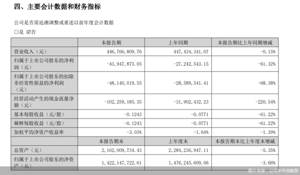 图片来源：公司半年报截图