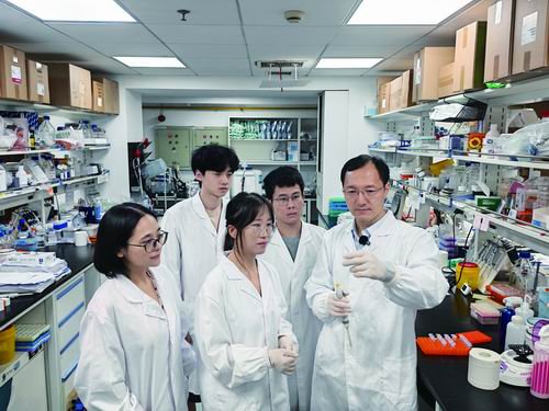 分子细胞卓越中心供图