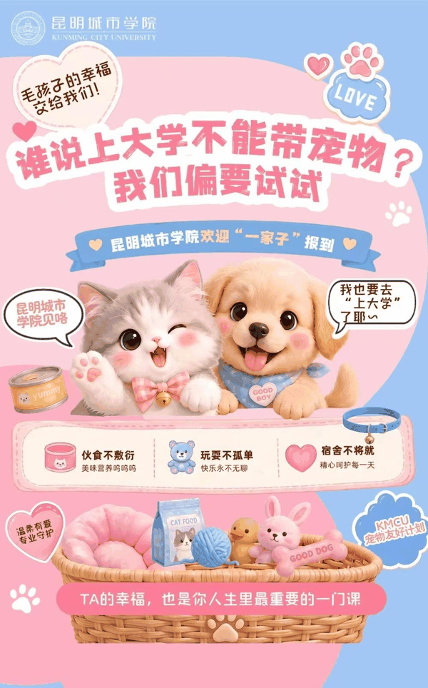 ▲昆明城市学院发布的海报