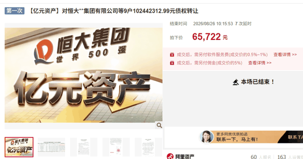 ▲截图自阿里资产平台