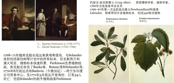 1766~79 班克斯爵士 第一个跨大陆植物引种收集.jpg