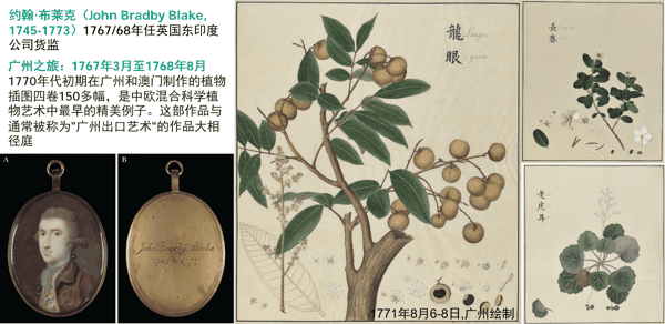 从广州寄回经济植物及科学画.jpg