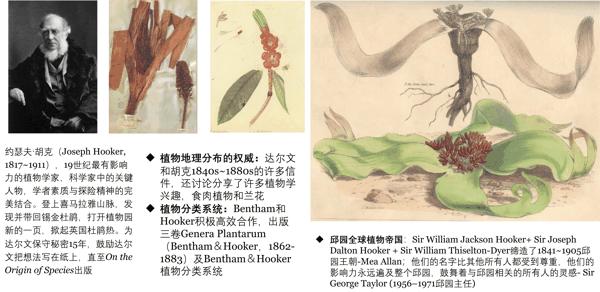 1839~77 Hooker 探寻南极至喜马拉雅山脉植物资源.jpg