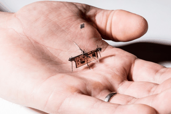 图｜华盛顿大学的 Robofly（来源：Watshington University）