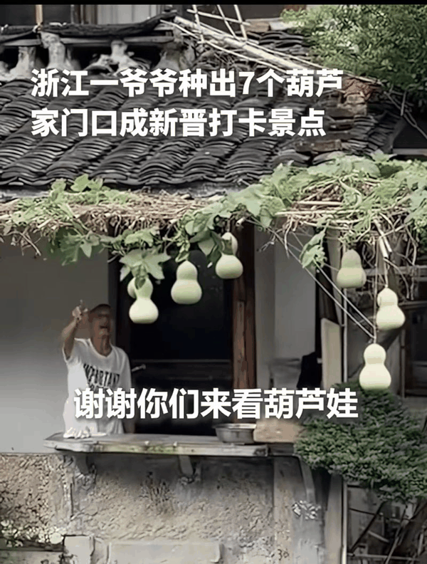 ▲现实版“爷爷和7个葫芦娃”走红，吸引全国游客打卡寻找童年。图/人民日报