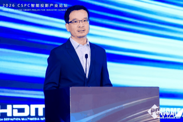 图：中国电子视像行业协会秘书长 董敏