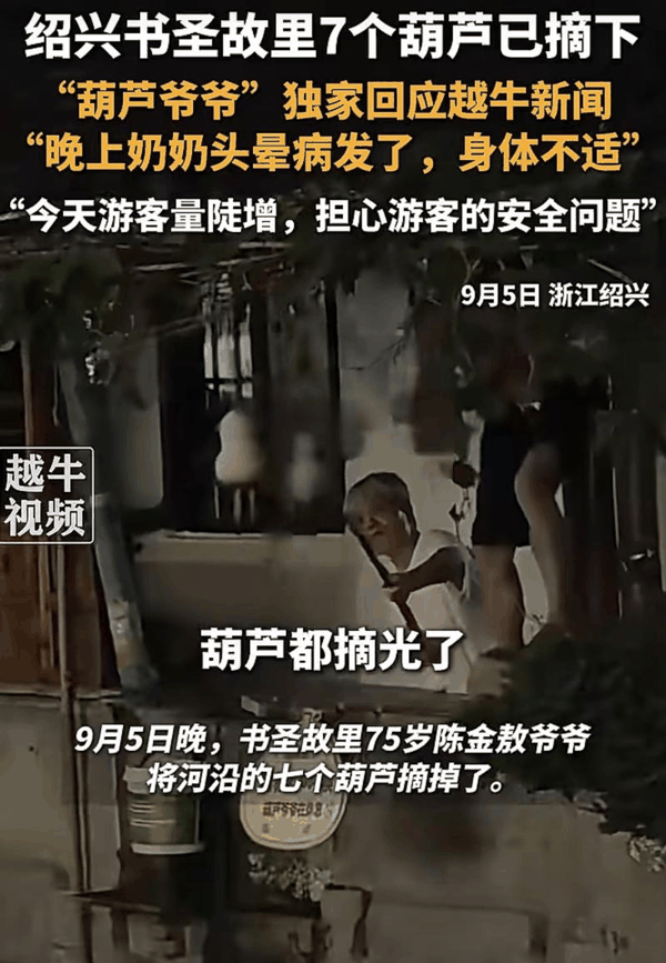 ▲9月5日晚，“葫芦娃爷爷”亲手剪下7个葫芦。图/越牛视频