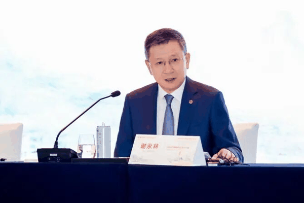 （中国平安总经理兼联席首席执行官谢永林，受访者供图）