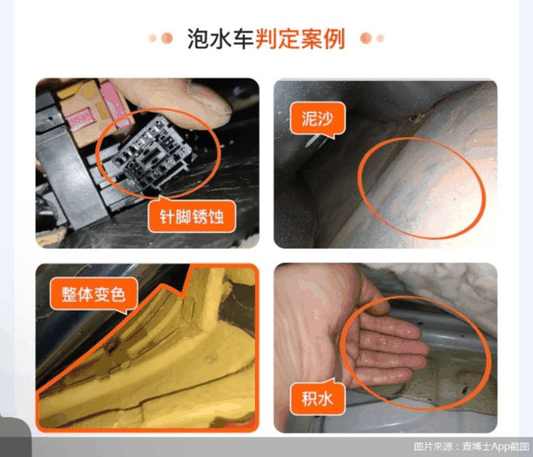 图片来源：查博士App截图