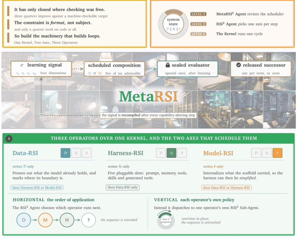 图 3：MetaRSI-v1 概览