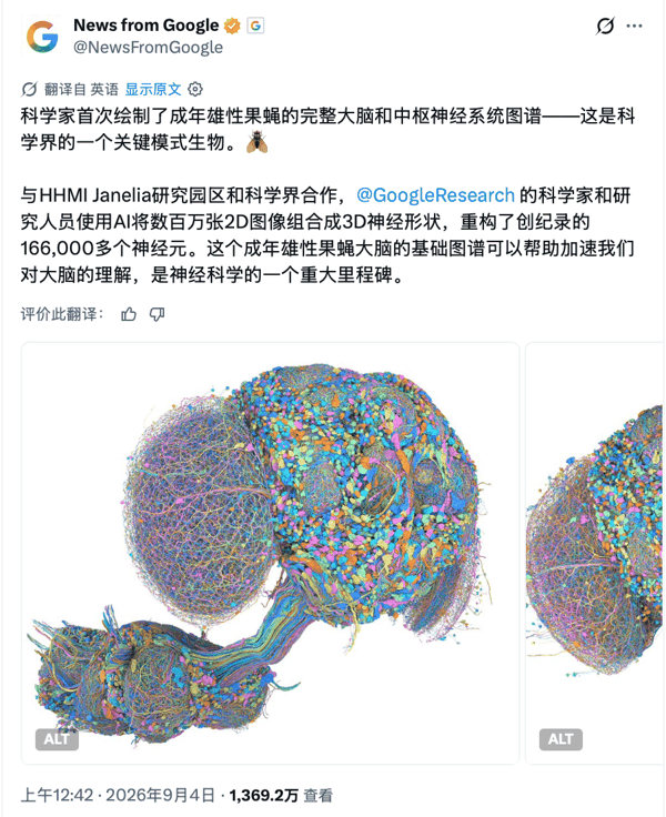 （来源：X）