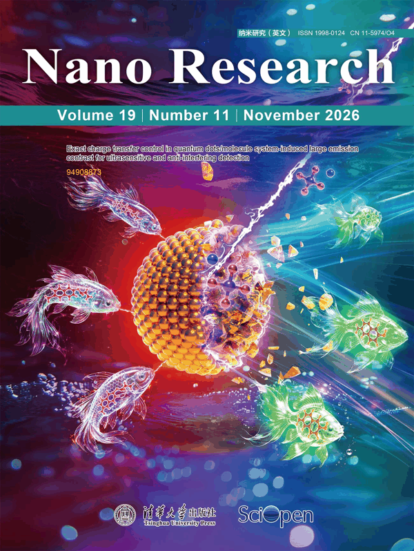 Nano+Research_19_11_Cover.png