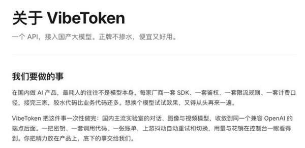 图 1 VibeToken 官网品牌介绍页面局部