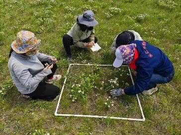 图 1样方调查及数据记录