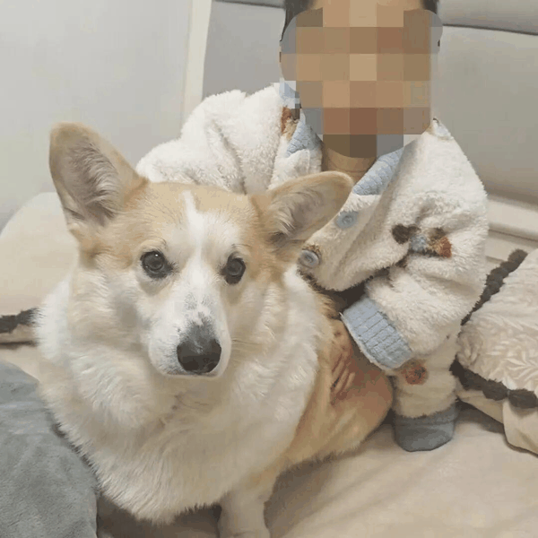 ▲崔先生的微信头像