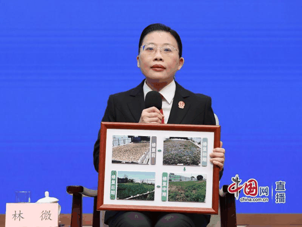 ▲福建省漳州市中级人民法院副院长林微 杨楠 摄
