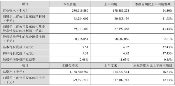 图片来源：半年报截图