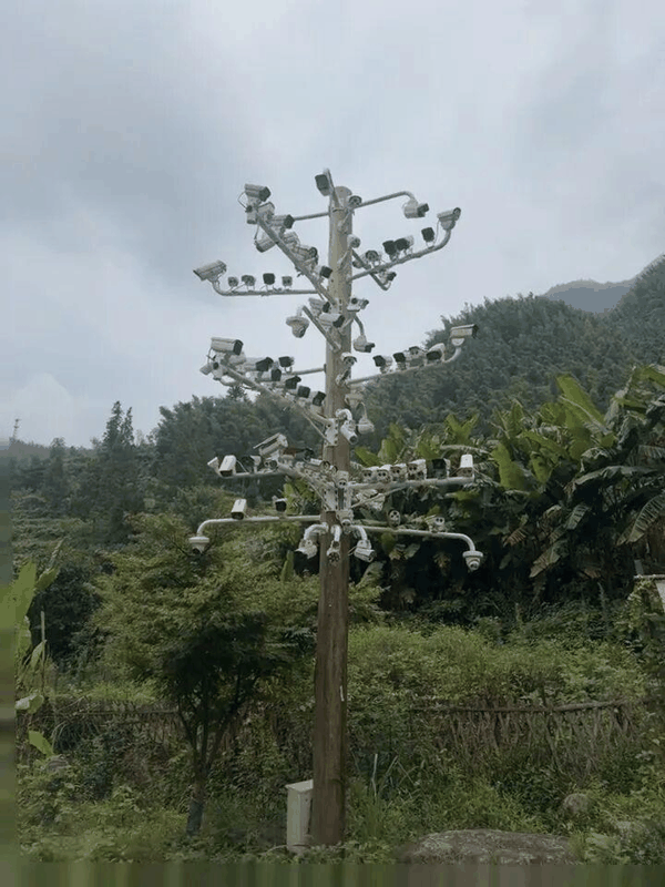 ↑槽下村的一处监控设备。图据极目新闻
