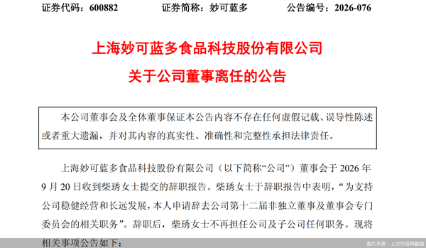 图片来源：上交所官网截图
