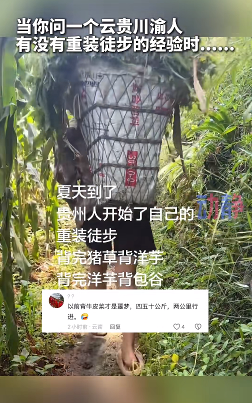  图片来源于网络