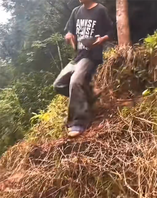 图片来源于网络