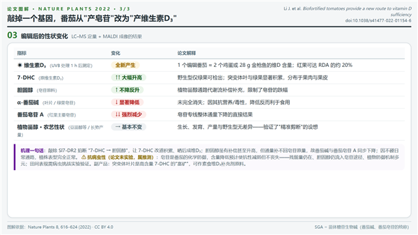 最终的编辑结果，图源丨九叶刀使用AI绘制