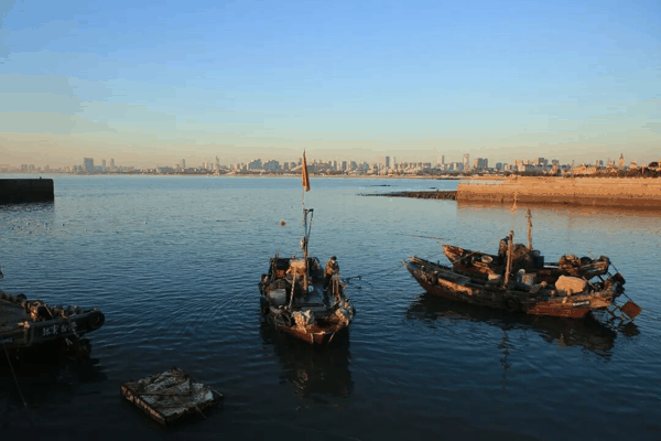 ​在山东省日照市大泉沟渔港，渔民在晨曦中出海捕鱼归来，鳗鱼等海鲜陆续搬运上岸。图片来源：视觉中国
