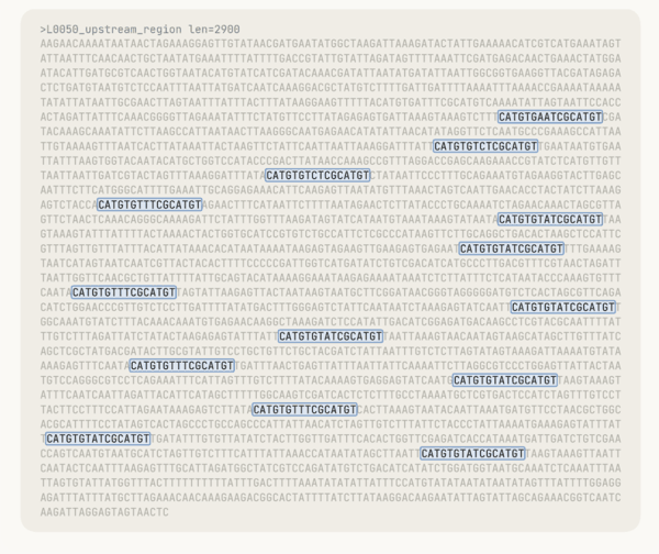 图丨Claude 在检测到无人注意到的重复模式时所读取的原始 DNA（来源：Anthropic）