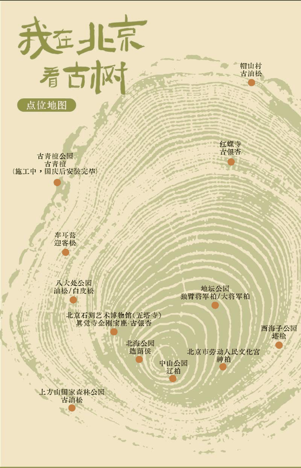 “我在北京看古树”点位图。主办方供图