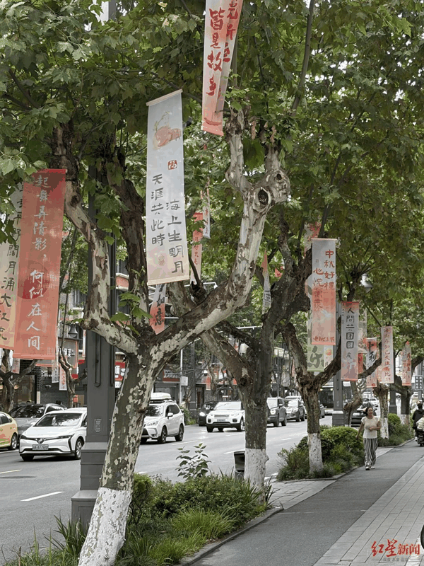 ▲成都西安南路化身“诗词大街”