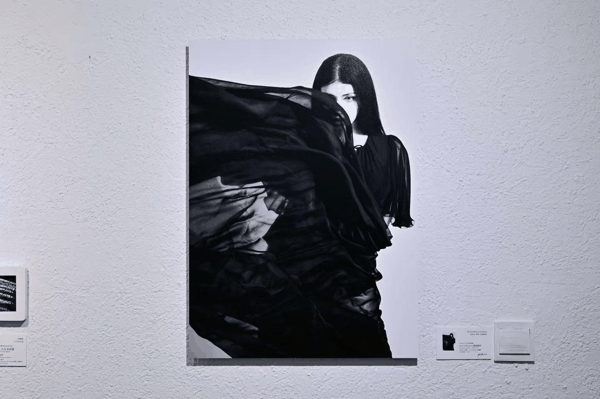 ▲尼科洛作品