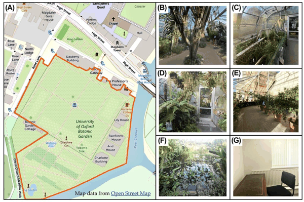 1 牛津植物园研究场地地图与温室.png