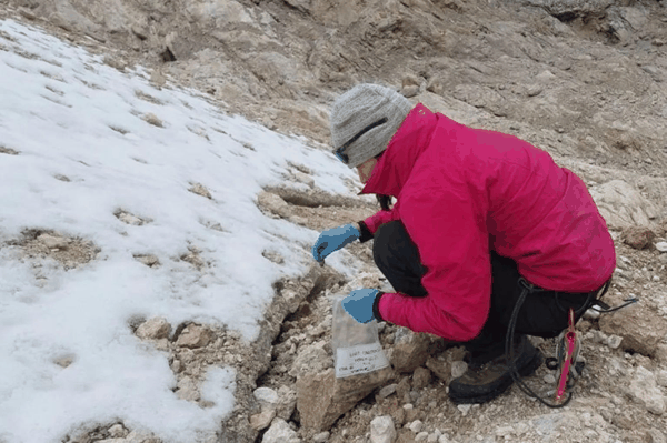▲捷克冰川生态学家玛丽·沙巴茨卡在查亚峰采集雪样