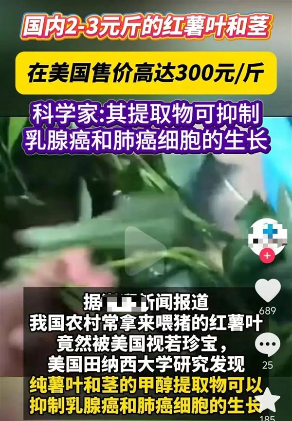 图片来源于网络
