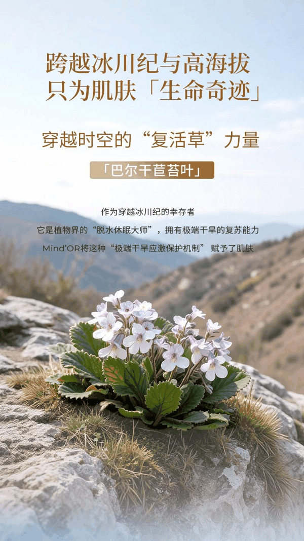 （图注：密朵叶至奢大绿瓶内添加巴尔干苣苔等多重极端环境的珍稀植萃成分）