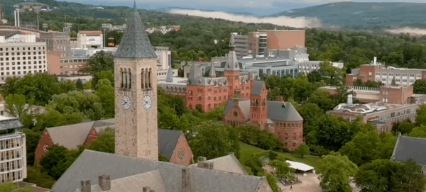 ▲康奈尔大学