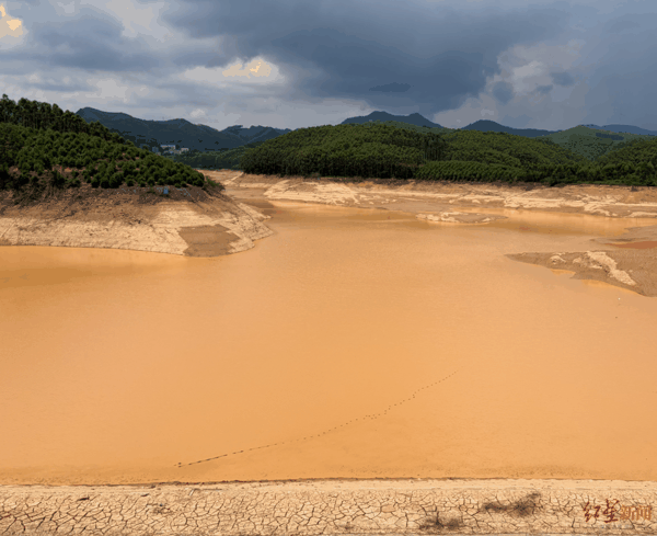 ▲今年遭遇极端降雨后，广西横州三岔水库泄出大量存水（红星新闻记者 付垚/摄）