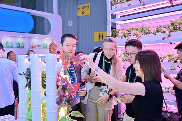 ▲国际采购商在展会上了解植物工厂产品