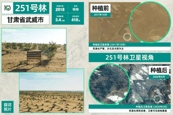 卫星视角下的蚂蚁森林251号林-甘肃武威