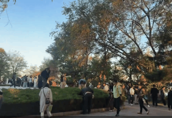 ▲网友发布游客在景区内找酒情况