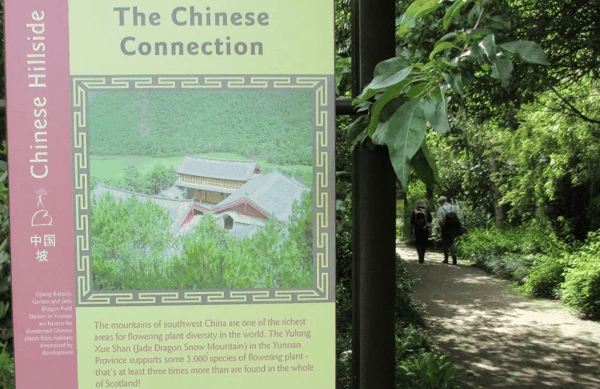 fig4_chinese_hillside_sign.jpg
