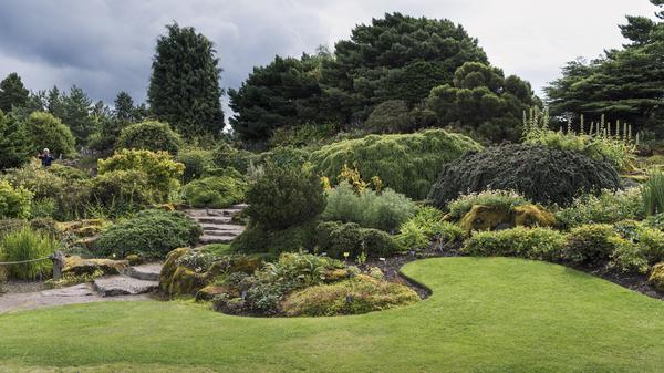 fig3_rock_garden.jpg