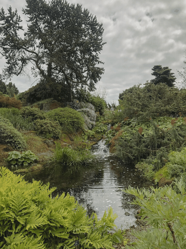 fig5_rock_stream.jpg