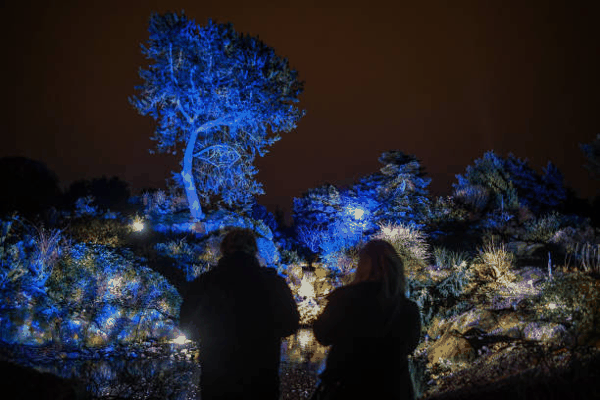fig6_lights_chinese_hill.jpg