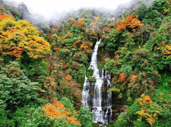 ▲瓦屋山秋景