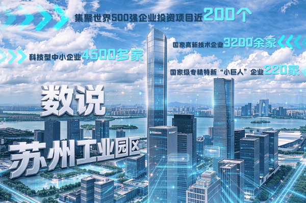 潘悦 制图