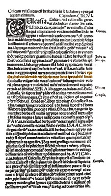 fig02.jpg
