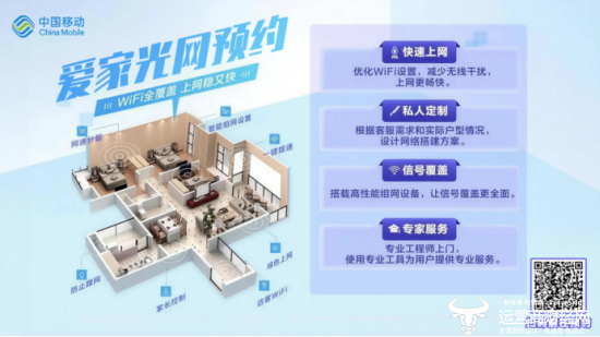 （用户在电视端选中服务即可完成从“选业务”到“装到家”的闭环）