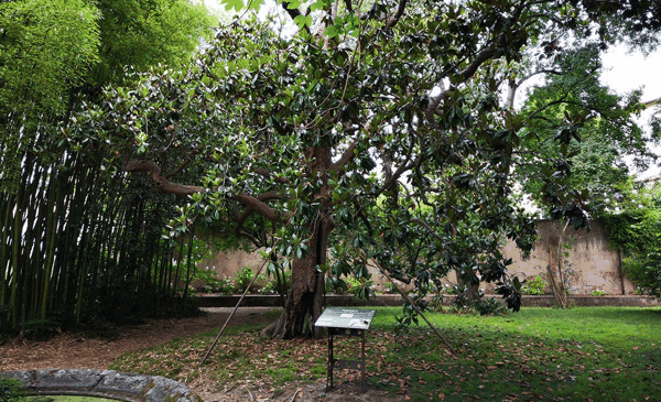 fig06.jpg